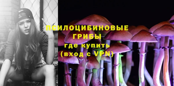 стафф Михайловск