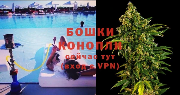 стафф Михайловск